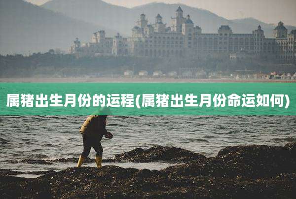 属猪出生月份的运程(属猪出生月份命运如何)