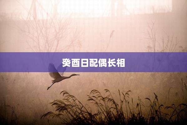 癸酉日配偶长相