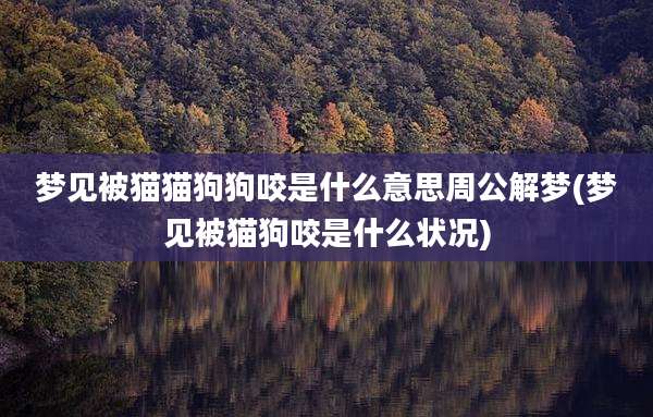 梦见被猫猫狗狗咬是什么意思周公解梦(梦见被猫狗咬是什么状况)