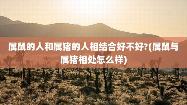 属鼠的人和属猪的人相结合好不好?(属鼠与属猪相处怎么样)
