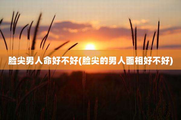 脸尖男人命好不好(脸尖的男人面相好不好)