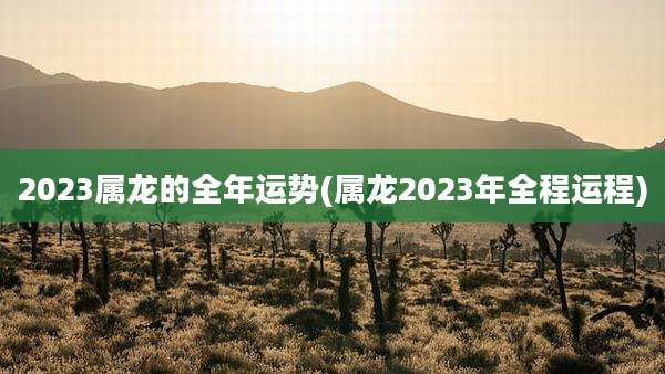 2023属龙的全年运势(属龙2023年全程运程)
