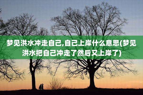 梦见洪水冲走自己,自己上岸什么意思(梦见洪水把自己冲走了然后又上岸了)