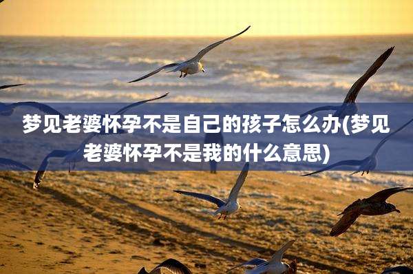 梦见老婆怀孕不是自己的孩子怎么办(梦见老婆怀孕不是我的什么意思)