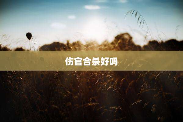 伤官合杀好吗