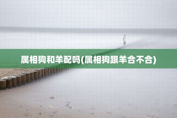 属相狗和羊配吗(属相狗跟羊合不合)