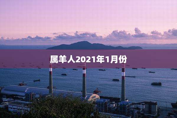 属羊人2021年1月份