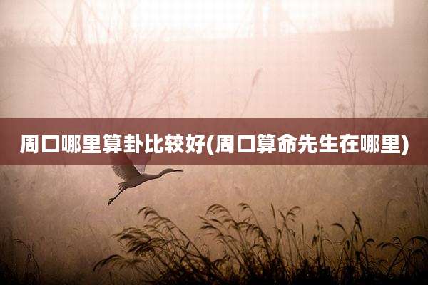 周口哪里算卦比较好(周口算命先生在哪里)