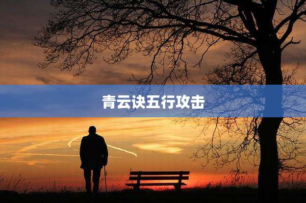 青云诀五行攻击