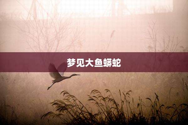 梦见大鱼蟒蛇