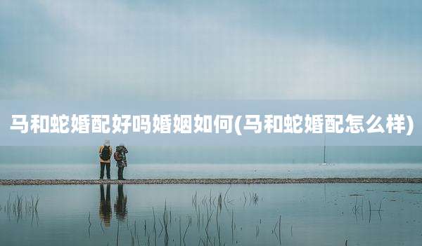 马和蛇婚配好吗婚姻如何(马和蛇婚配怎么样)