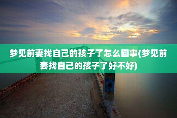 梦见前妻找自己的孩子了怎么回事(梦见前妻找自己的孩子了好不好)