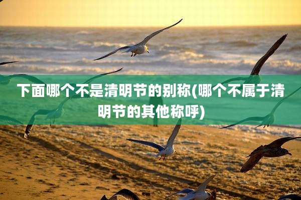 下面哪个不是清明节的别称(哪个不属于清明节的其他称呼)