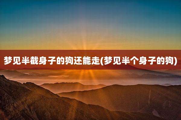 梦见半截身子的狗还能走(梦见半个身子的狗)