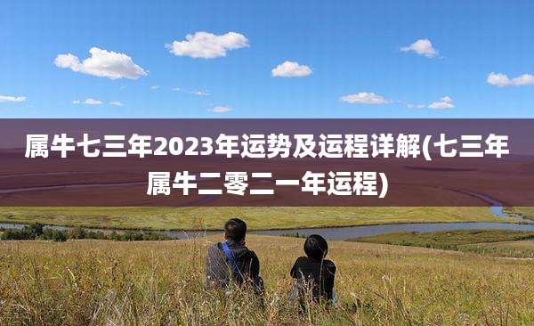 属牛七三年2023年运势及运程详解(七三年属牛二零二一年运程)