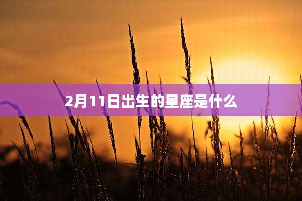 2月11日出生的星座是什么