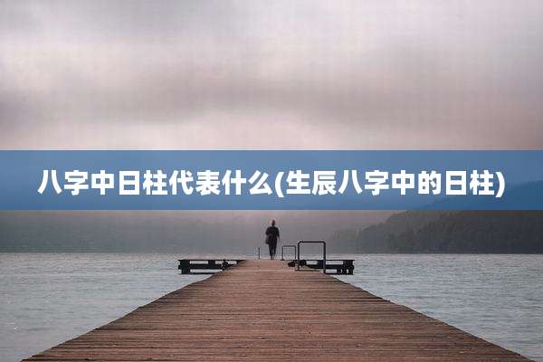 八字中日柱代表什么(生辰八字中的日柱)
