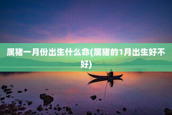 属猪一月份出生什么命(属猪的1月出生好不好)