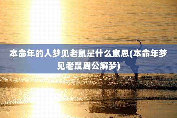 本命年的人梦见老鼠是什么意思(本命年梦见老鼠周公解梦)