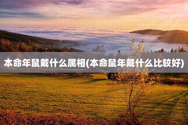 本命年鼠戴什么属相(本命鼠年戴什么比较好)