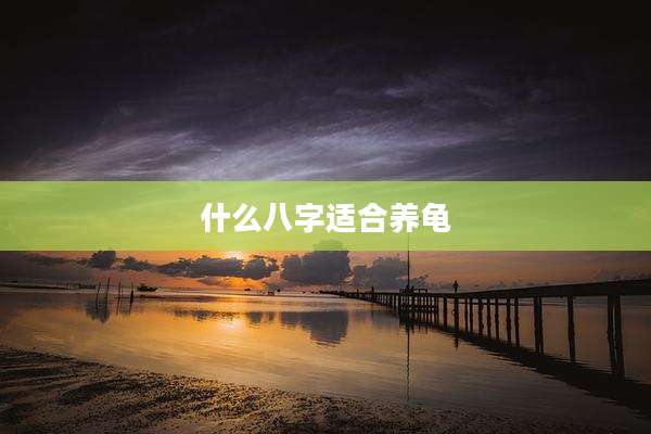 什么八字适合养龟