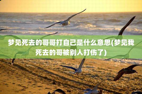 梦见死去的哥哥打自己是什么意思(梦见我死去的哥被别人打伤了)