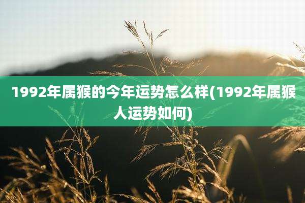 1992年属猴的今年运势怎么样(1992年属猴人运势如何)