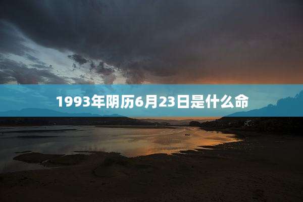 1993年阴历6月23日是什么命