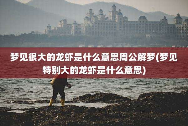 梦见很大的龙虾是什么意思周公解梦(梦见特别大的龙虾是什么意思)