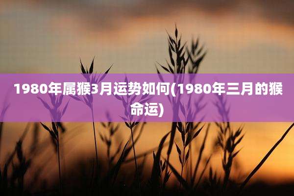 1980年属猴3月运势如何(1980年三月的猴命运)