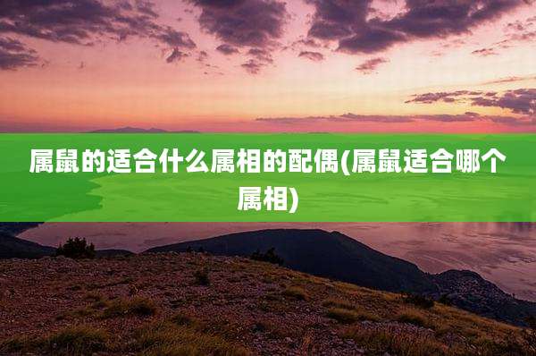 属鼠的适合什么属相的配偶(属鼠适合哪个属相)