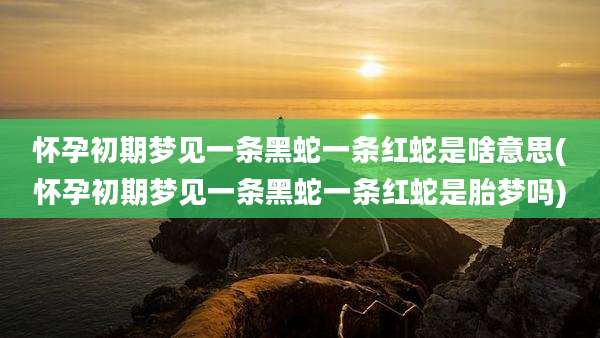 怀孕初期梦见一条黑蛇一条红蛇是啥意思(怀孕初期梦见一条黑蛇一条红蛇是胎梦吗)