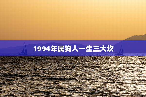 1994年属狗人一生三大坎