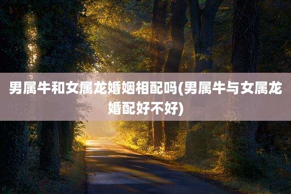 男属牛和女属龙婚姻相配吗(男属牛与女属龙婚配好不好)