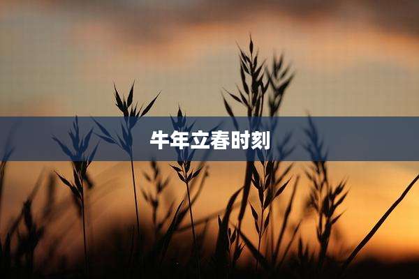 牛年立春时刻