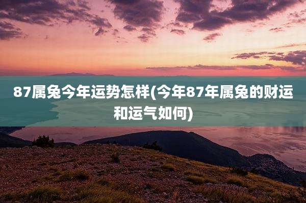 87属兔今年运势怎样(今年87年属兔的财运和运气如何)