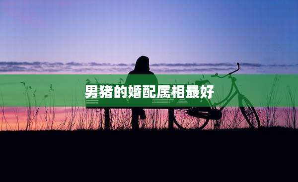 男猪的婚配属相最好