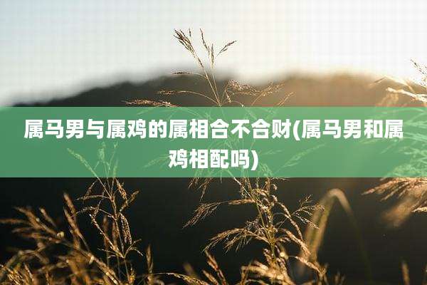 属马男与属鸡的属相合不合财(属马男和属鸡相配吗)