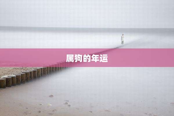 属狗的年运