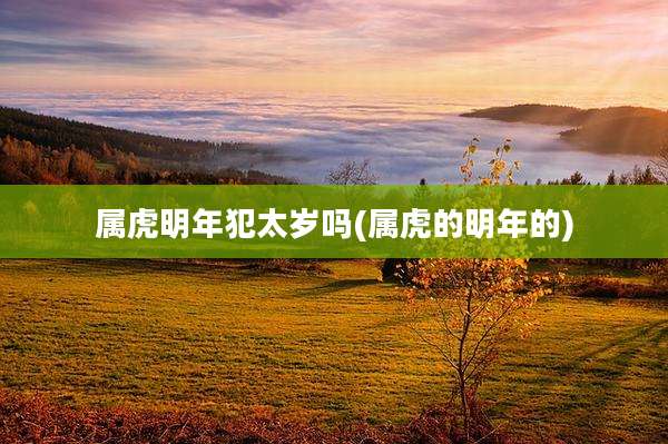 属虎明年犯太岁吗(属虎的明年的)