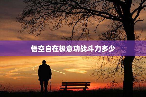 悟空自在极意功战斗力多少