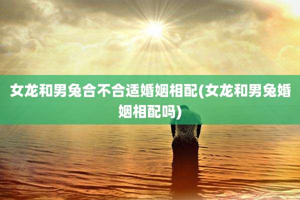 女龙和男兔合不合适婚姻相配(女龙和男兔婚姻相配吗)