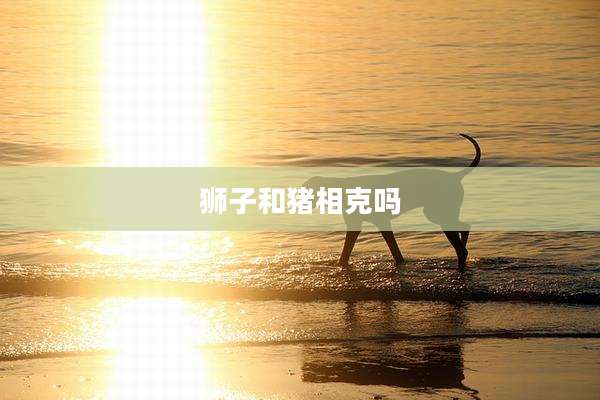狮子和猪相克吗