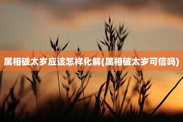 属相破太岁应该怎样化解(属相破太岁可信吗)