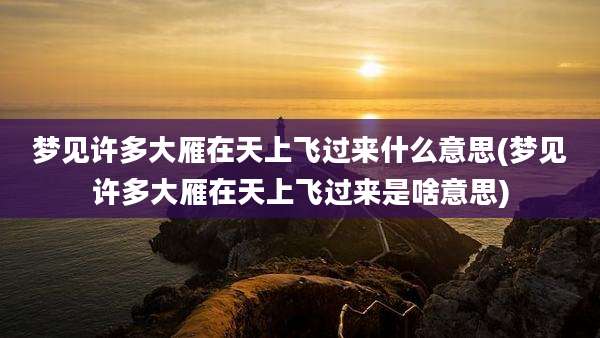 梦见许多大雁在天上飞过来什么意思(梦见许多大雁在天上飞过来是啥意思)