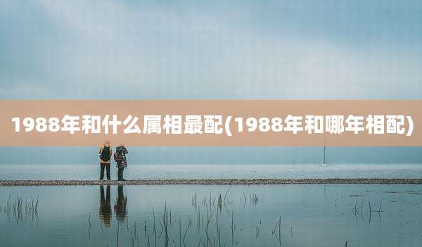 1988年和什么属相最配(1988年和哪年相配)