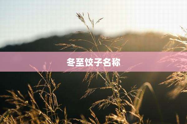 冬至饺子名称