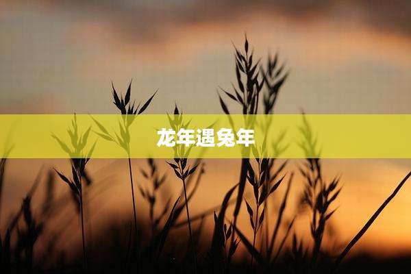 龙年遇兔年