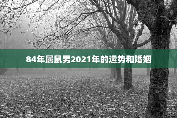 84年属鼠男2021年的运势和婚姻