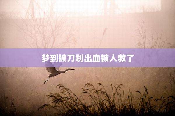 梦到被刀划出血被人救了